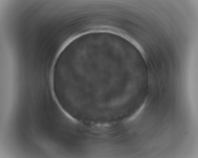 X0000113761533200910071121