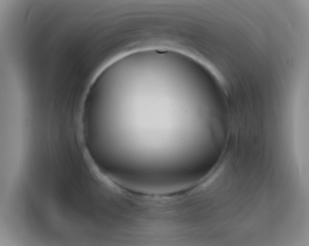 X0000113761534200910071121