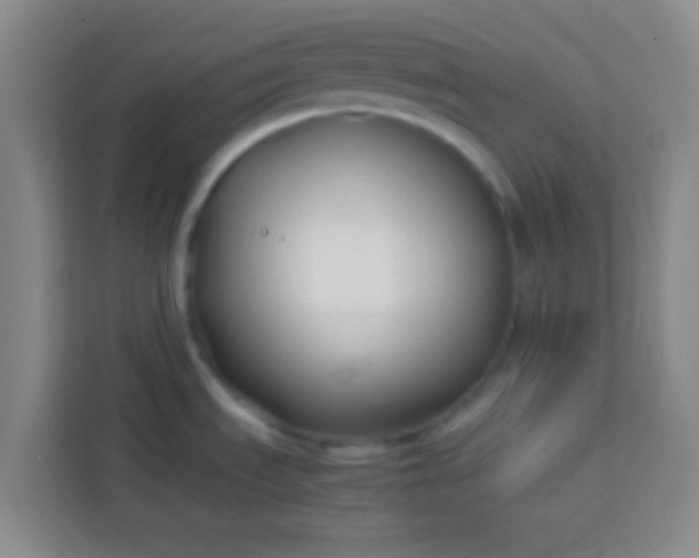 X0000113761535200910071121