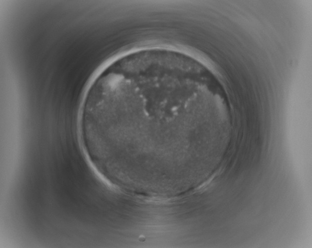 X0000113761536200910071121
