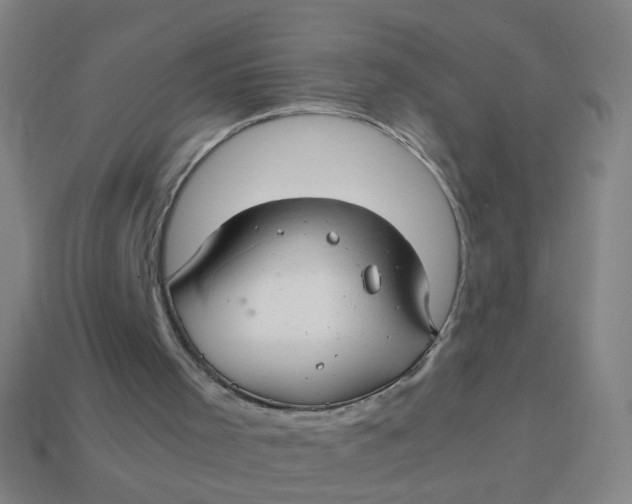 X0000113760001200910141058