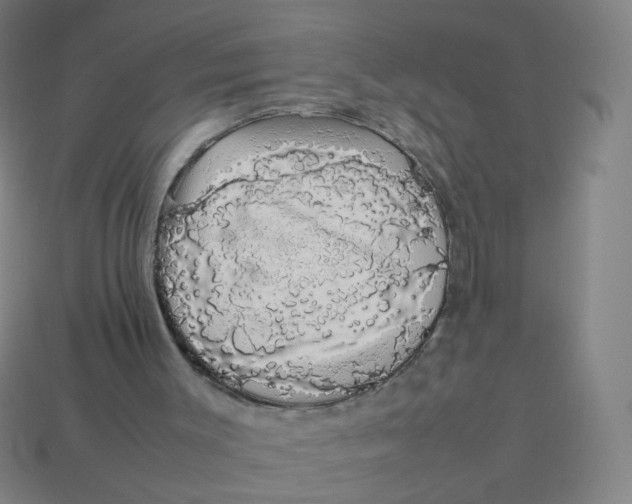 X0000113760003200910141058