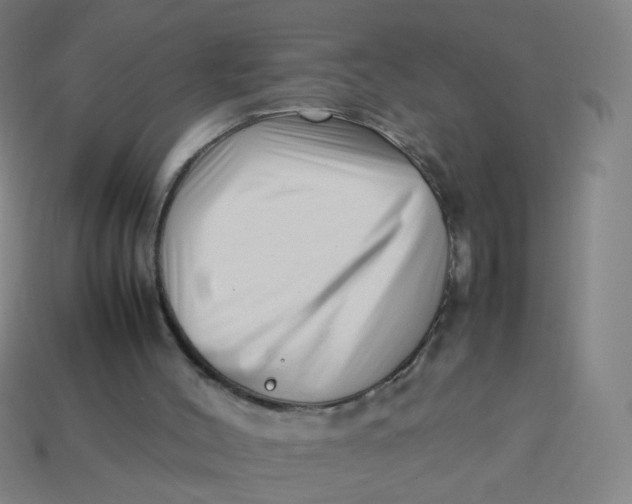 X0000113760004200910141058