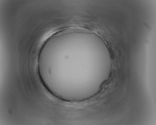 X0000113760005200910141058