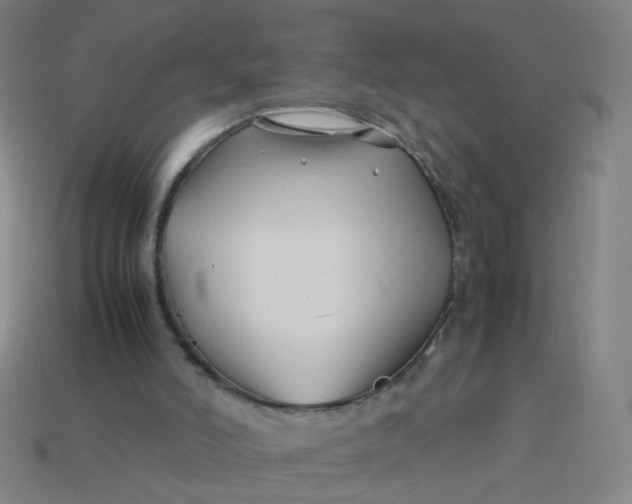 X0000113760006200910141058