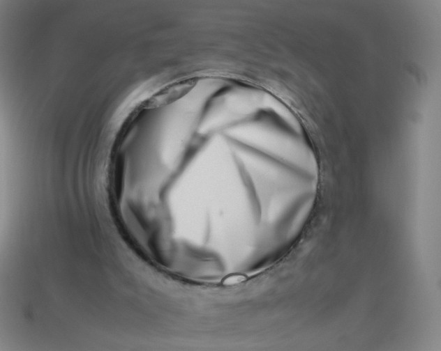 X0000113760007200910141058