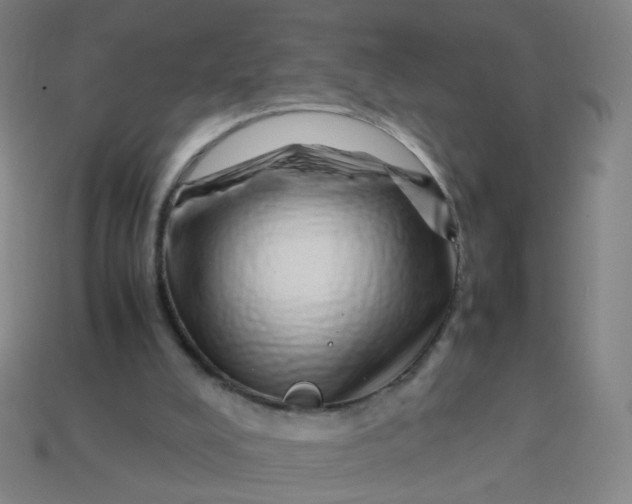 X0000113760008200910141058