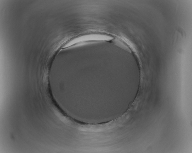 X0000113760009200910141058