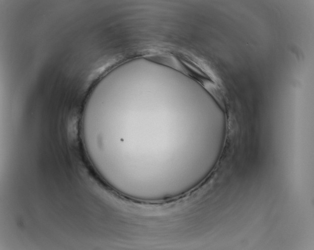 X0000113760010200910141058