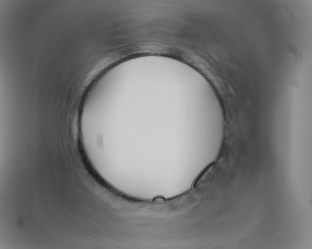 X0000113760011200910141058