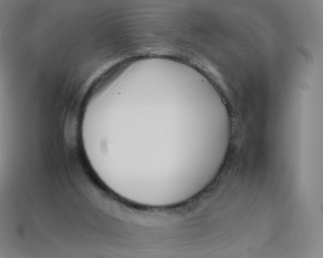 X0000113760012200910141058