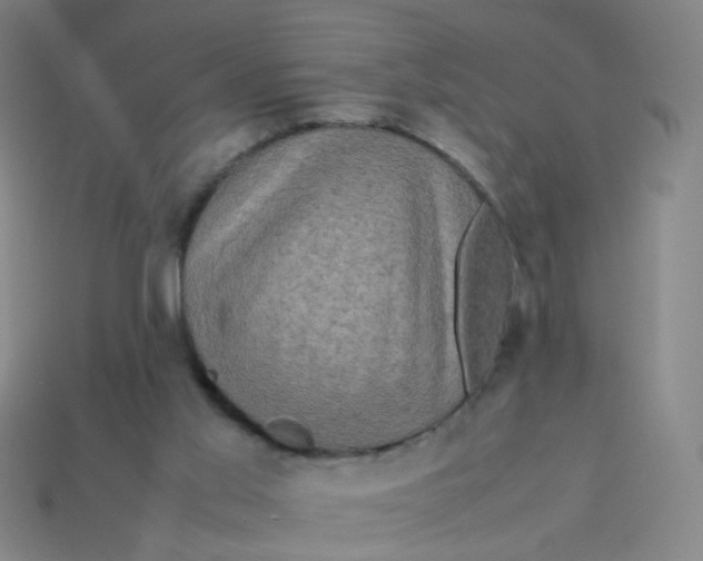 X0000113760013200910141058