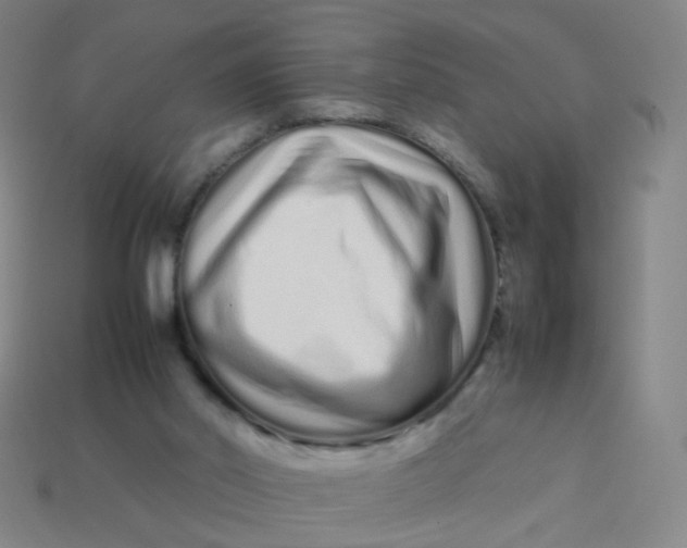 X0000113760014200910141058