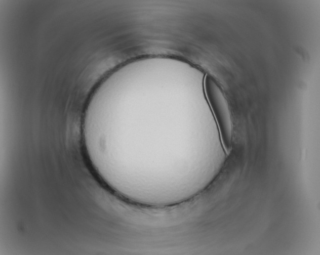 X0000113760015200910141057