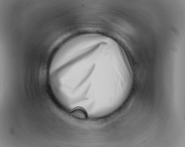 X0000113760016200910141057