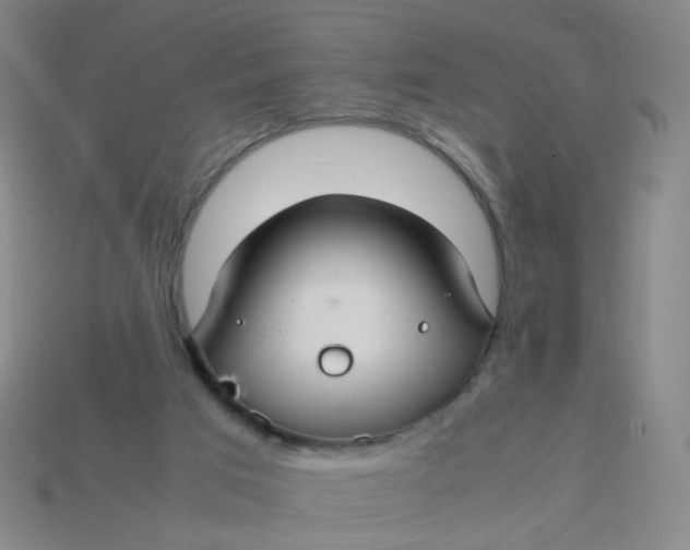 X0000113760017200910141057