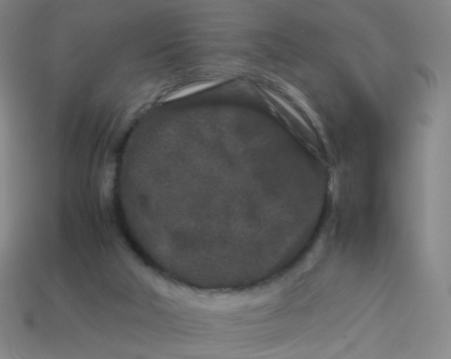 X0000113760018200910141057