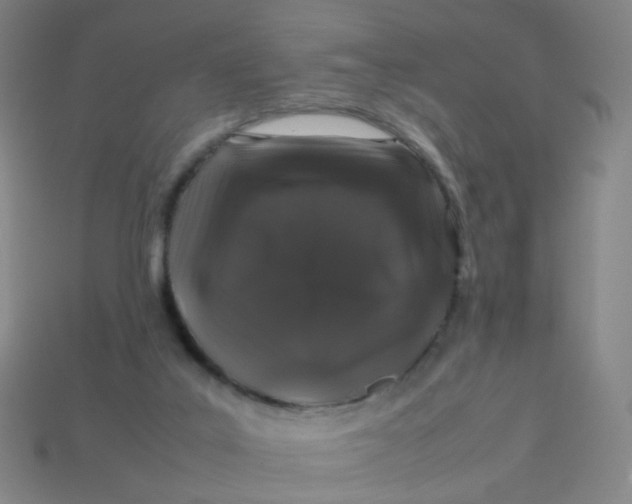 X0000113760019200910141057