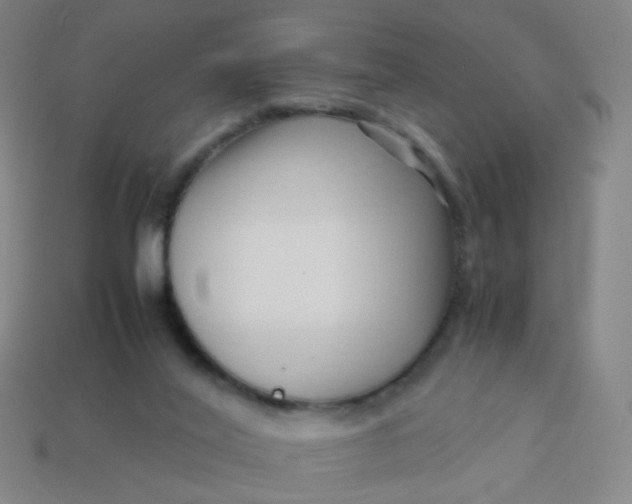 X0000113760020200910141057