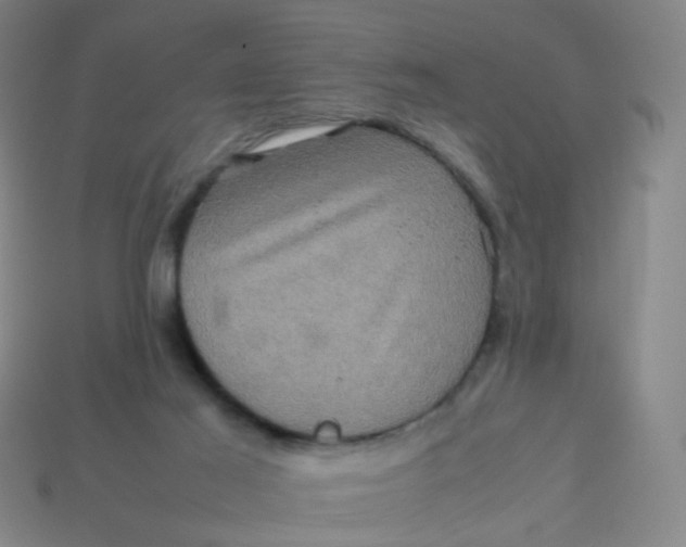 X0000113760021200910141057