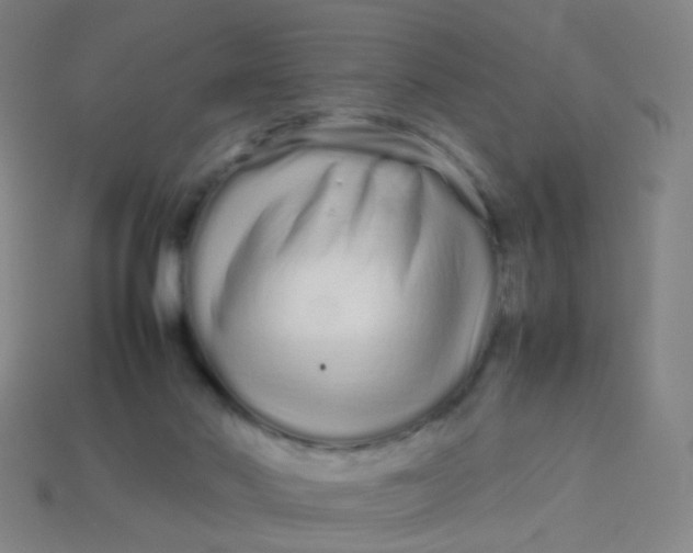 X0000113760022200910141057