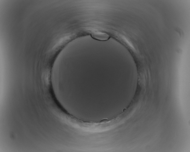 X0000113760023200910141057