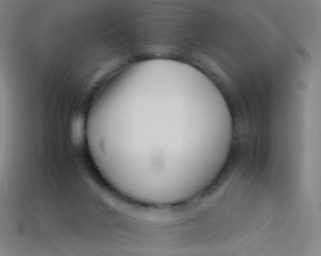 X0000113760024200910141057