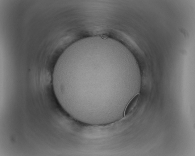 X0000113760025200910141057