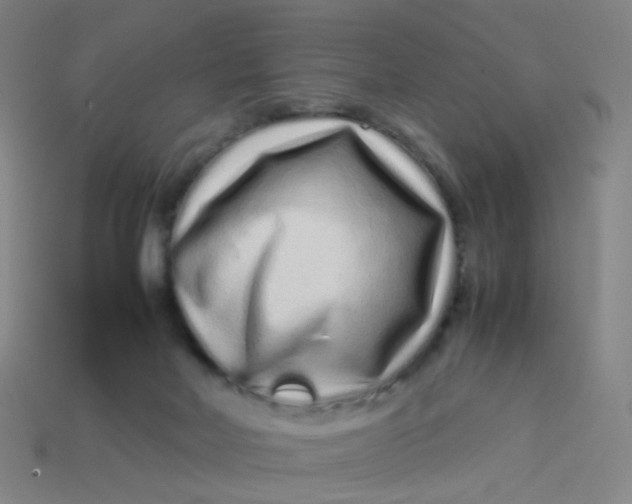 X0000113760026200910141057