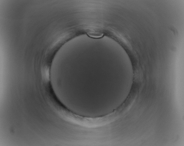 X0000113760027200910141057