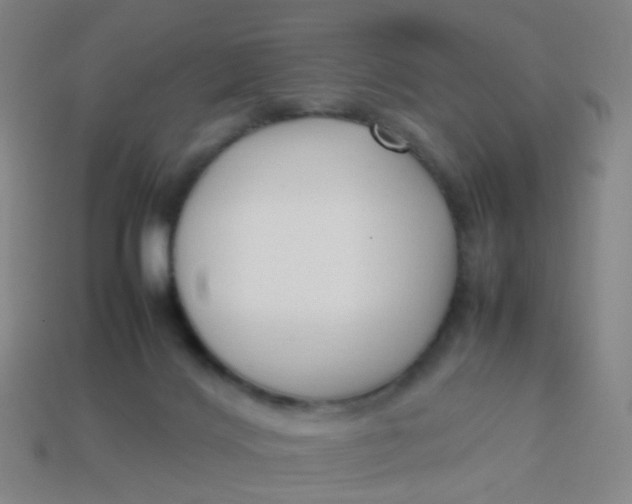 X0000113760028200910141057