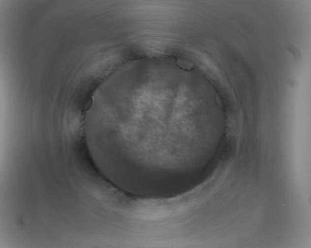 X0000113760029200910141057