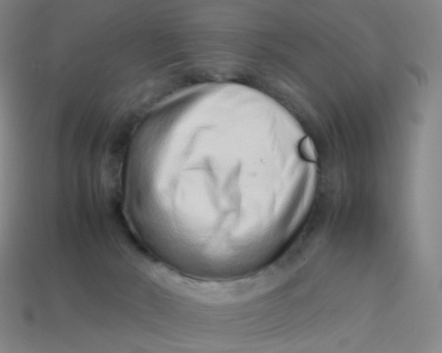 X0000113760030200910141057