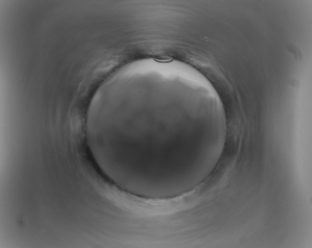 X0000113760031200910141057