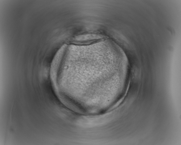 X0000113760033200910141057