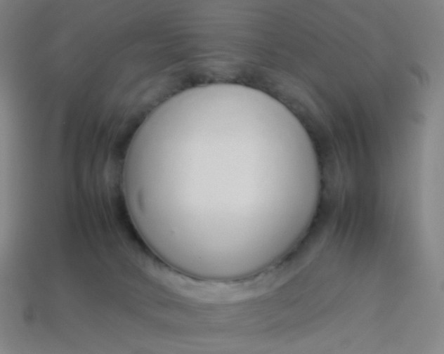 X0000113760034200910141057