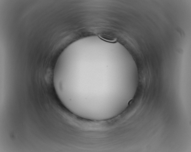 X0000113760036200910141057