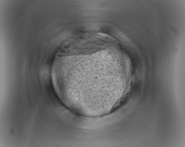 X0000113760037200910141057