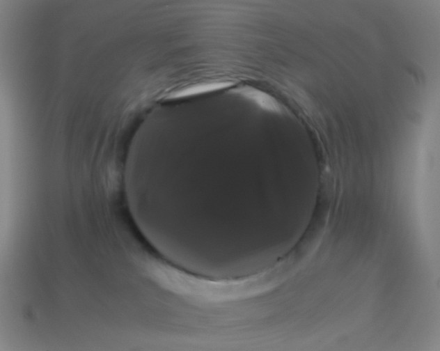 X0000113760039200910141057