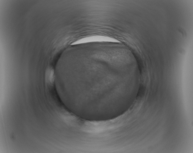 X0000113760041200910141057