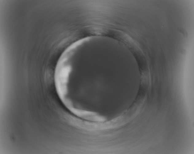 X0000113760043200910141057