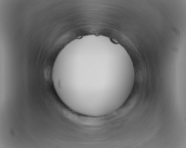 X0000113760044200910141057