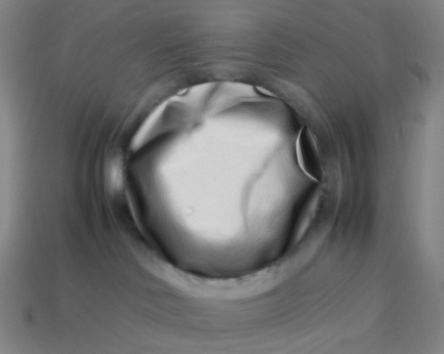 X0000113760046200910141057