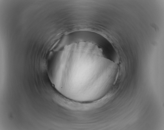 X0000113760048200910141057