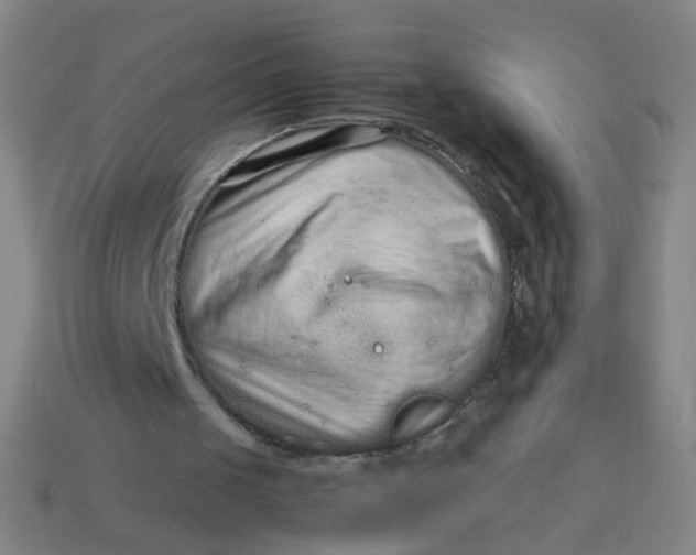 X0000113760049200910141056