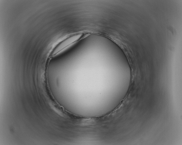 X0000113760050200910141056