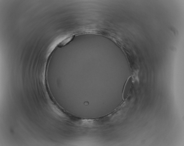 X0000113760052200910141056