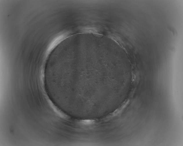 X0000113760053200910141056