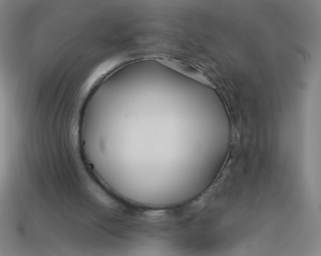 X0000113760054200910141056