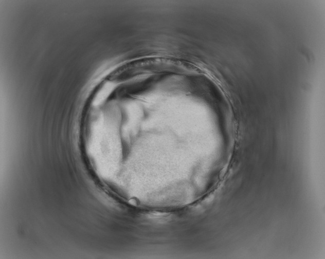 X0000113760055200910141056